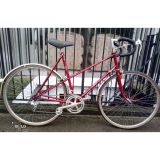 Raleigh Clubman Lady Classic Bike